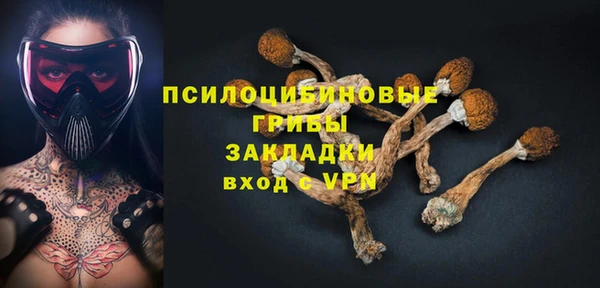 крисы Аркадак