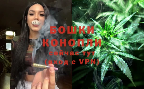 шишки Остров