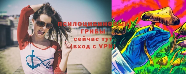 не бодяженный Алексин