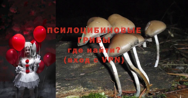 крисы Аркадак